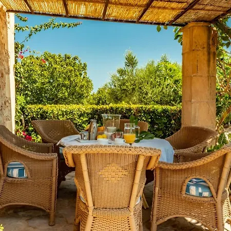 C326 Carritx By Mallorca Selection Can Picafort (Mallorca)